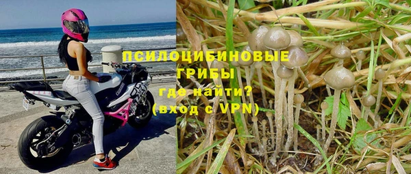 тгк Алексин