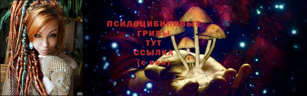 бошки Абаза
