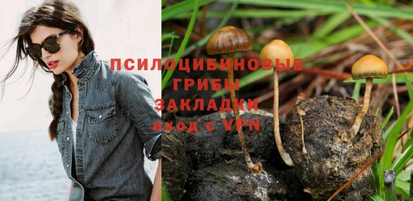 тгк Алексин