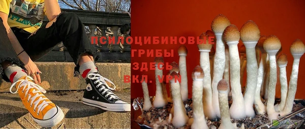 spice Весьегонск