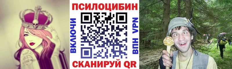 mega как войти  Покачи  Псилоцибиновые грибы ЛСД 